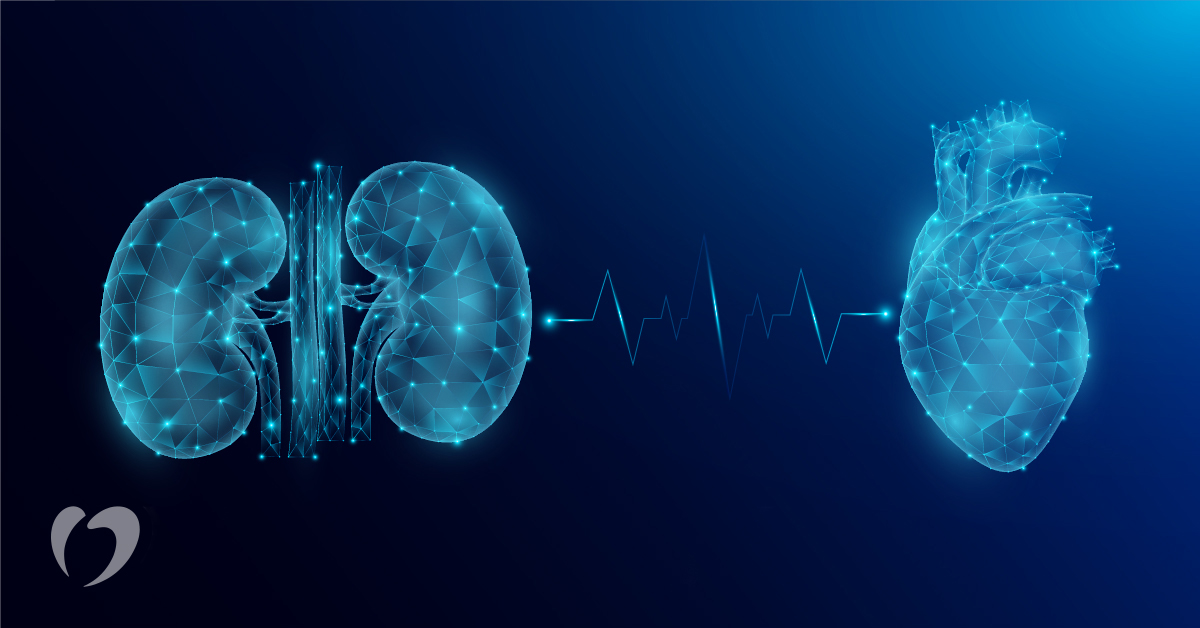 illustrative visualization of a kidney and a heart with a heartbeat line connecting them
