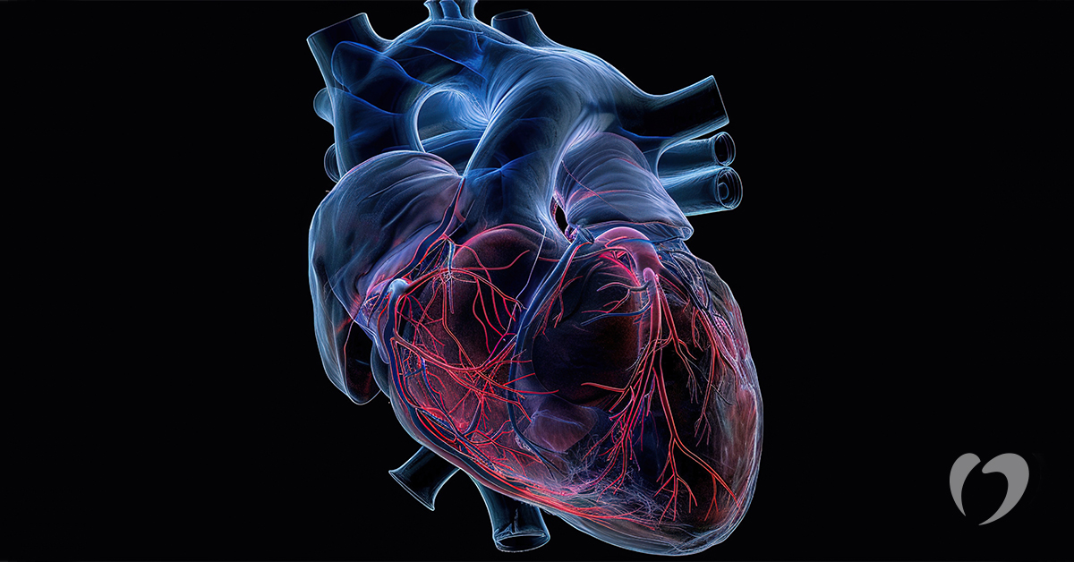 Understanding Heart Failure with Preserved Ejection Fraction (HFpEF)