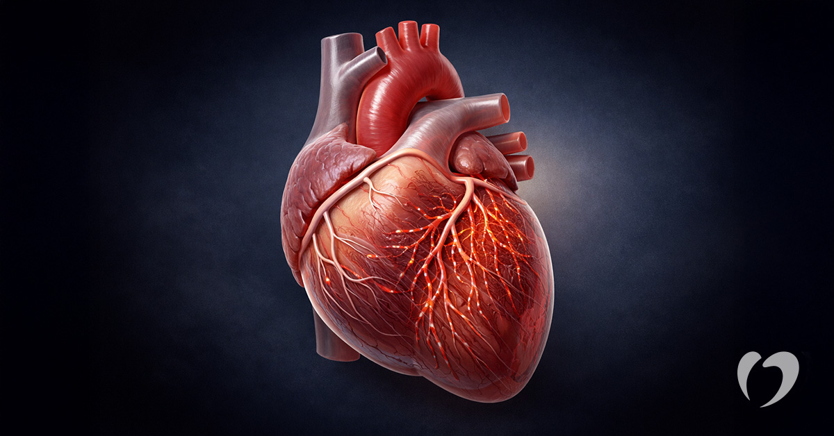 Understanding Coronary Microvascular Dysfunction