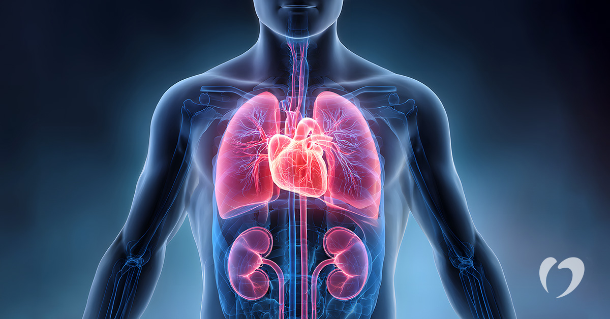 What Is CKM Syndrome? Understanding the Connection Between Your Heart, Kidneys, and Metabolic Health